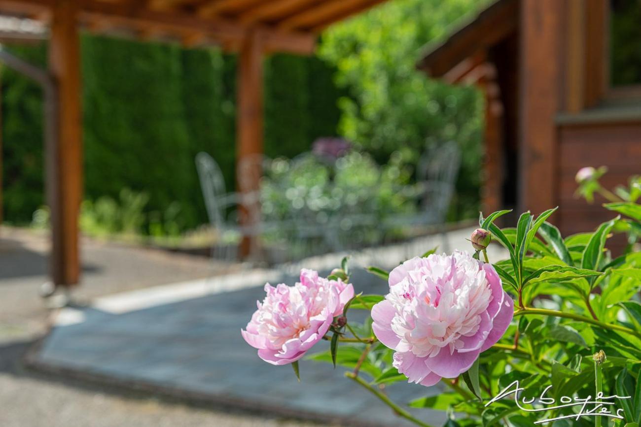 Chalet La Calougeotte, Jardin, Spa Et Sauna Prives Le Menil Luaran gambar